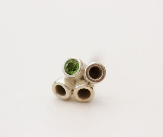 Seed